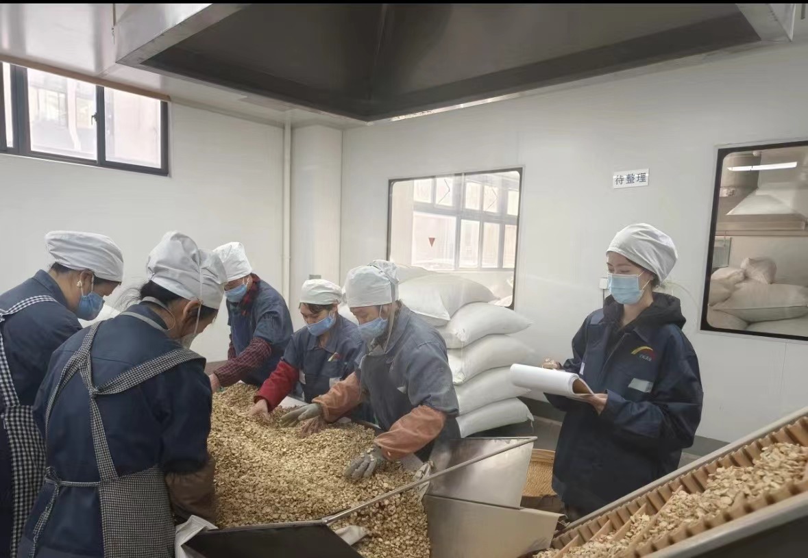 Qingdao Biohoer Biotech Co., Ltd. официально начал строительство