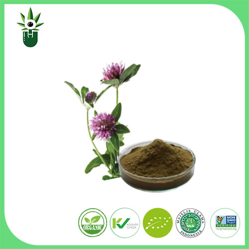 Экстракт Medicago sativa L